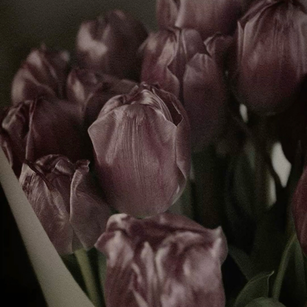 Maintenance Toner at Moxie + Mane Hair Co. in Johnson City, TN