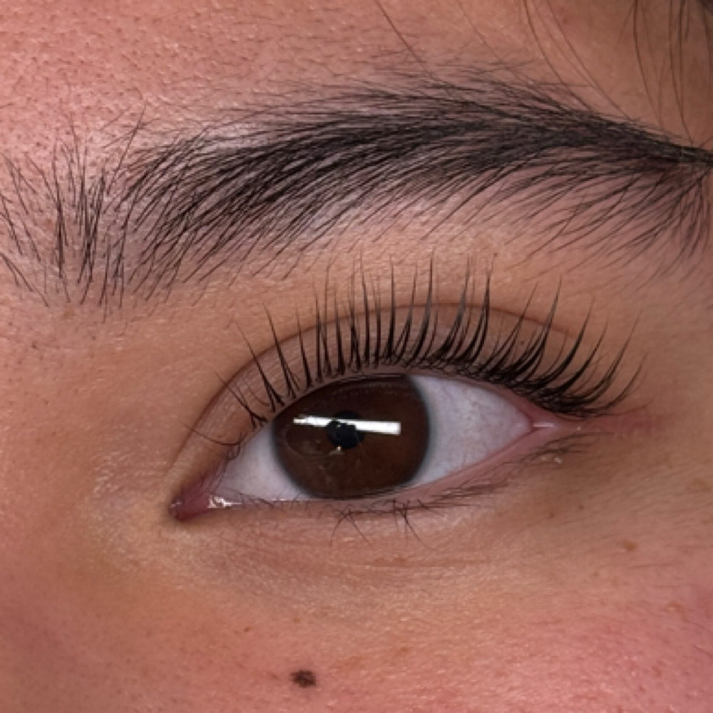 Korean Lash Lift (2026) at Vibe Studio in San Jose, CA
