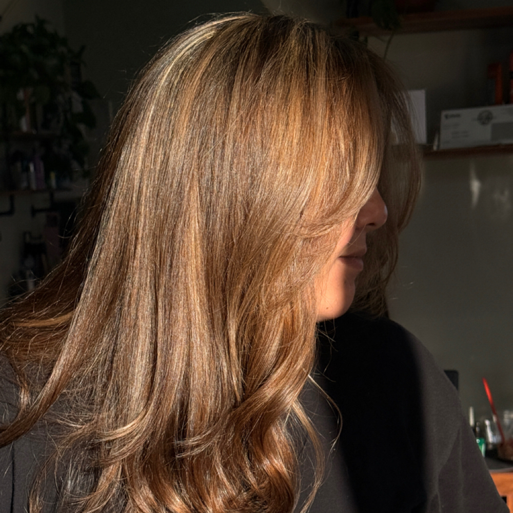 Full Highlight at Wicked Belleza in Montebello, CA