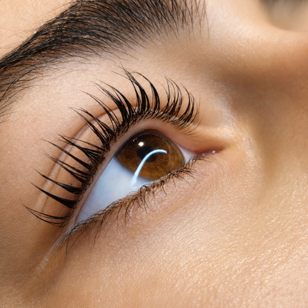 Lash Lift & Tint at LASH OUT by Ash in Edmond, OK