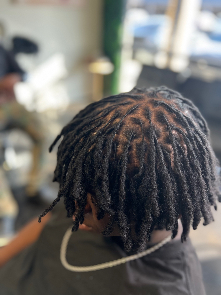 Loc Maintenance (Retwist)
