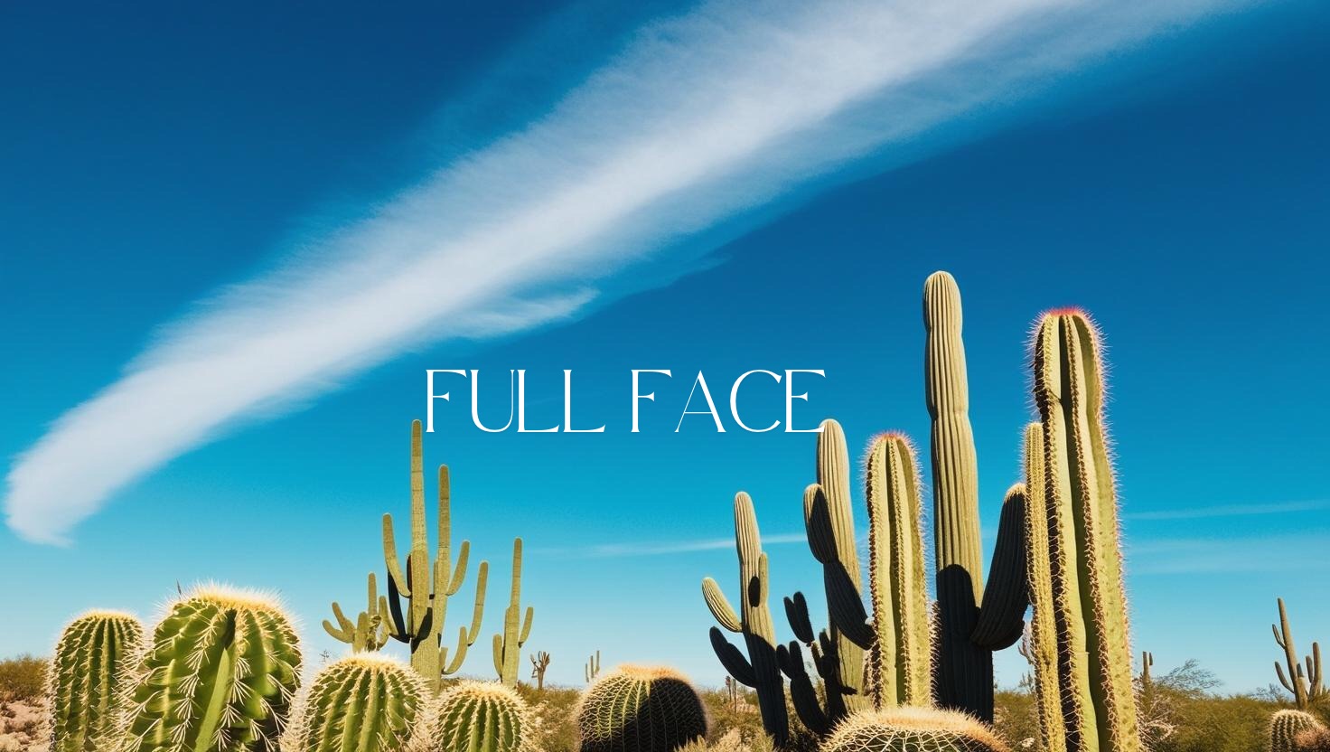 Full Face Wax