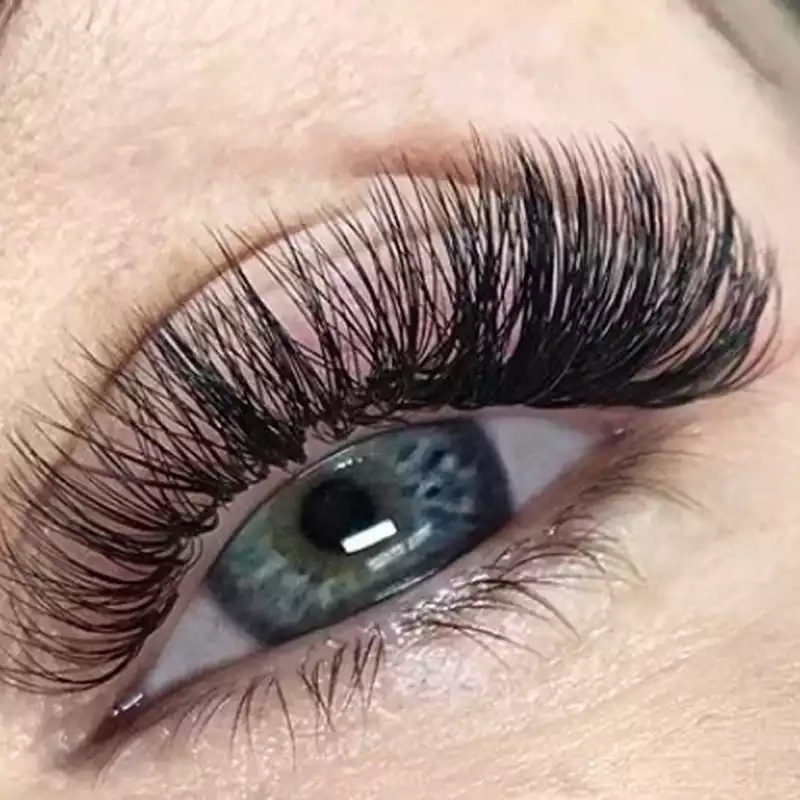 Volume Lashes