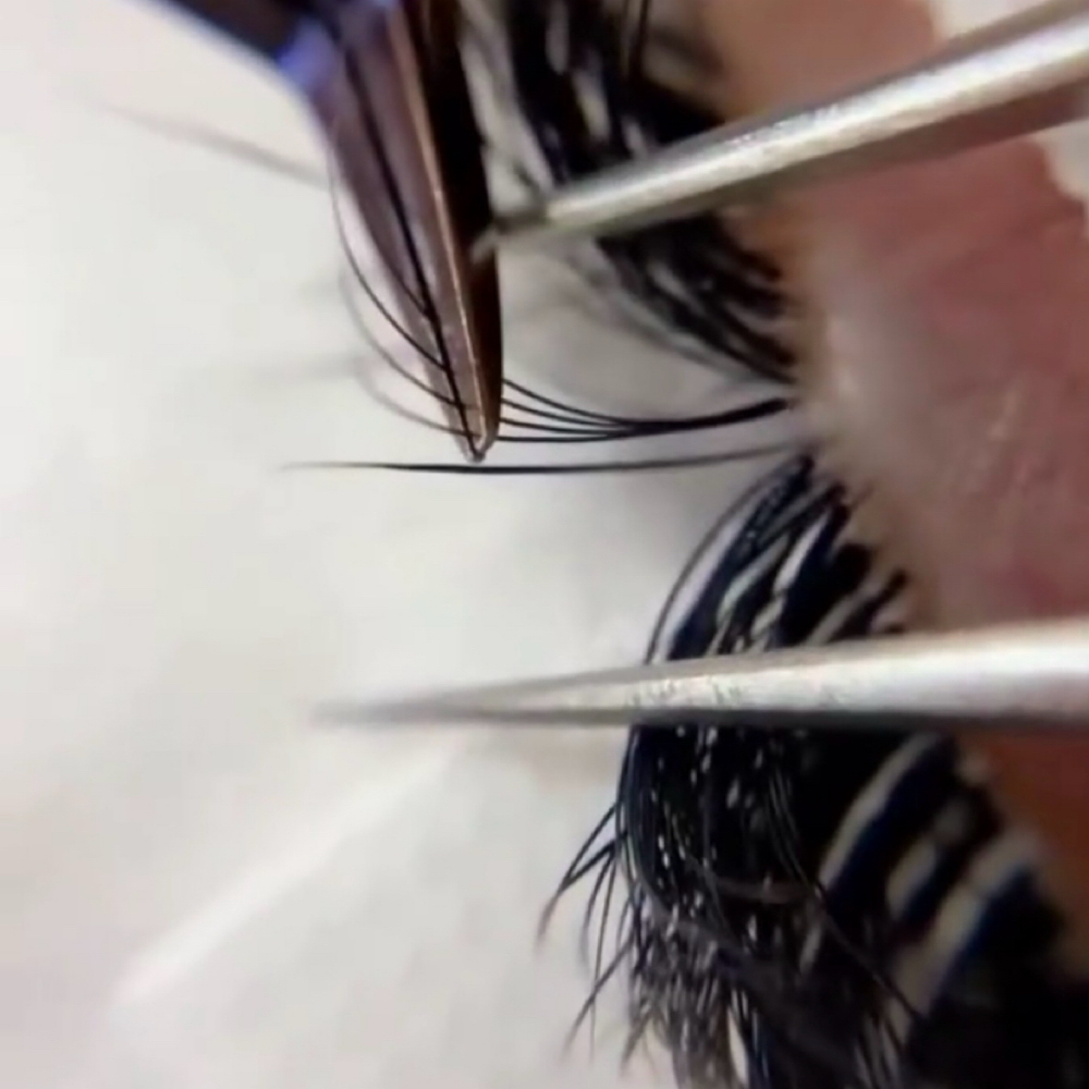 VOLUME LASH • FILL• at M BLINK in Midland, TX