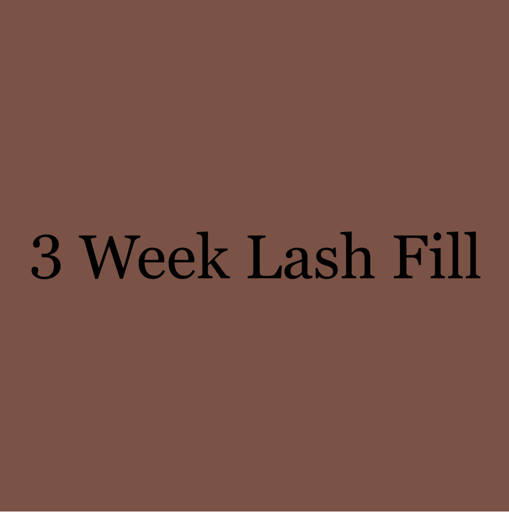 3 Week Lash Fill