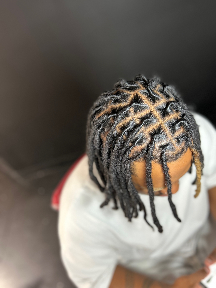 Loc retwist