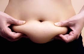 HALF ABDOMEN ~ Upper Or Lower Half