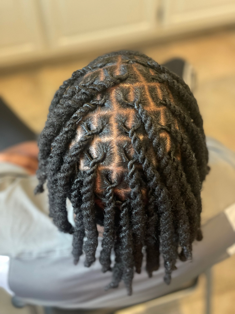 Two Strand Twists