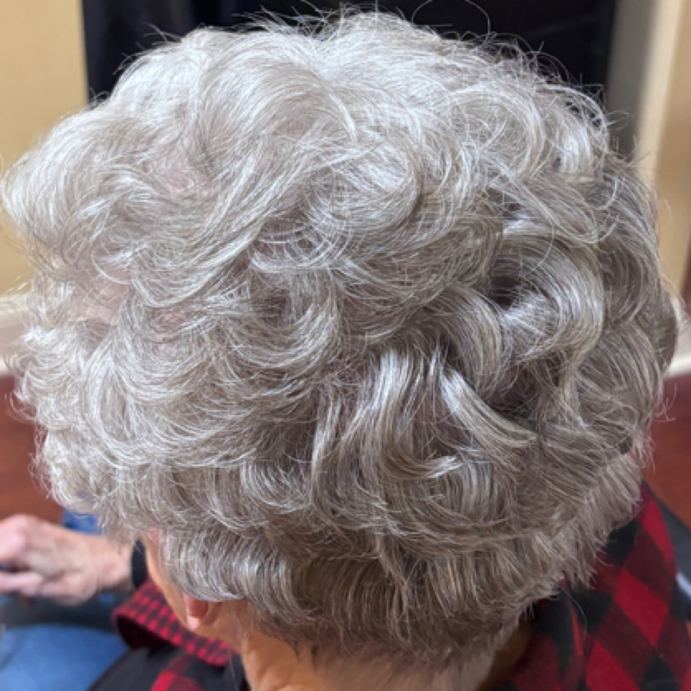 Senior Wash, Cut, Dry, Set Or Curl at Undaunted Beauty in Fredericksburg, VA