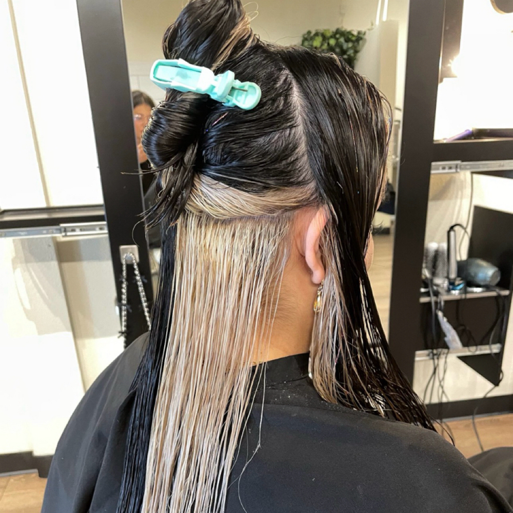 Partial Foil at Monica Busch Beauty in Reno, NV