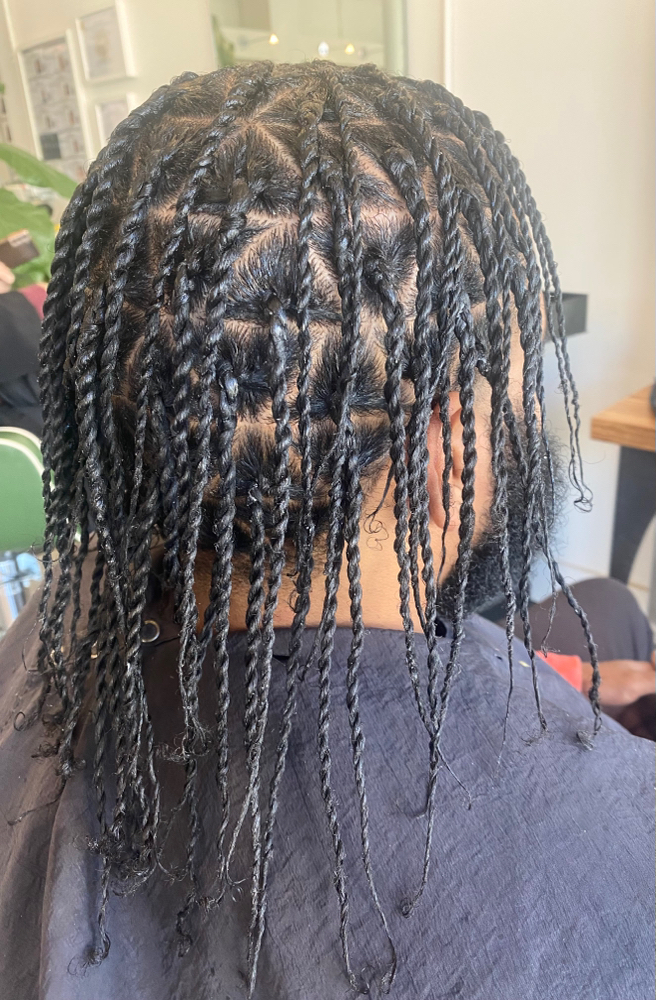 2 Strand Twist