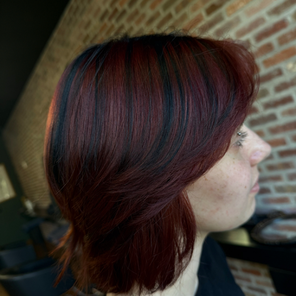 Alternative Color/Vivids at Baroque Salon in Highwood, IL