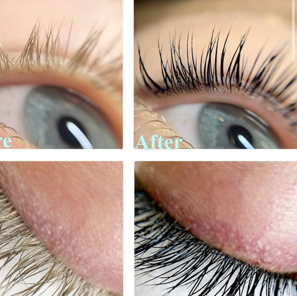 Lash Tinting at Lash Muse by Lily in Tampa, FL