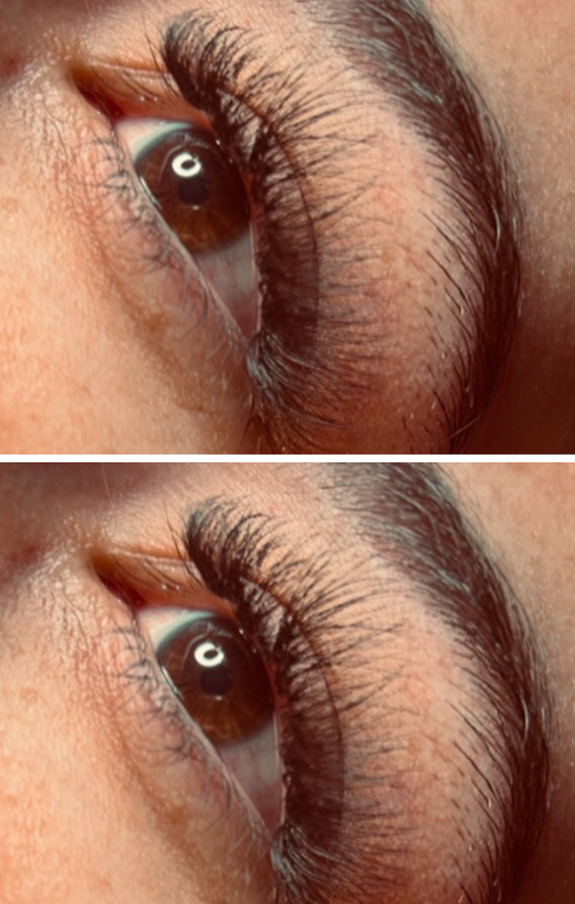 Volume Lash Fill
