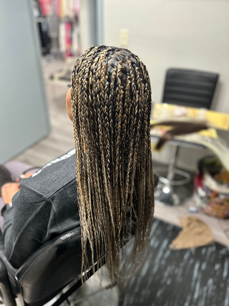 Knotless Braids (small)