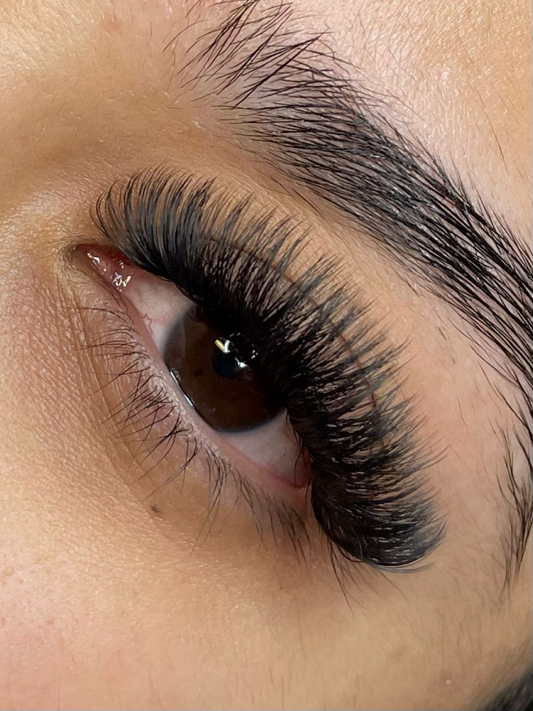 Volume Eyelash Set