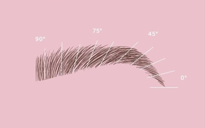 Brow Lamination