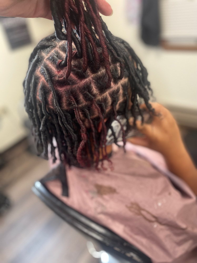 Starter Dreads