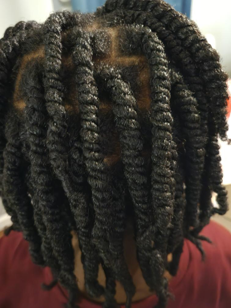 2 Strand Twist No Hair Added