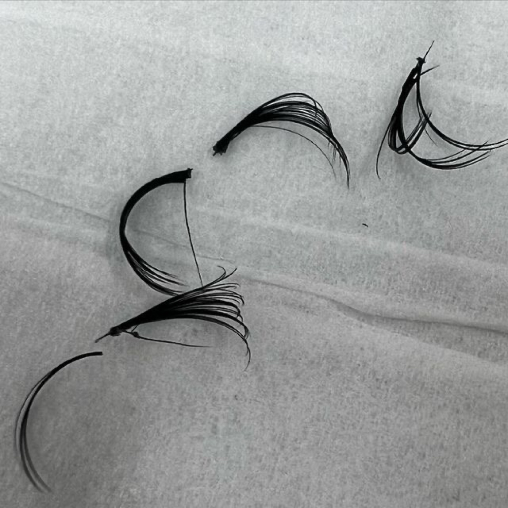 Lash Removal w/ Logan at Liv’s Esthetics in Springboro, OH