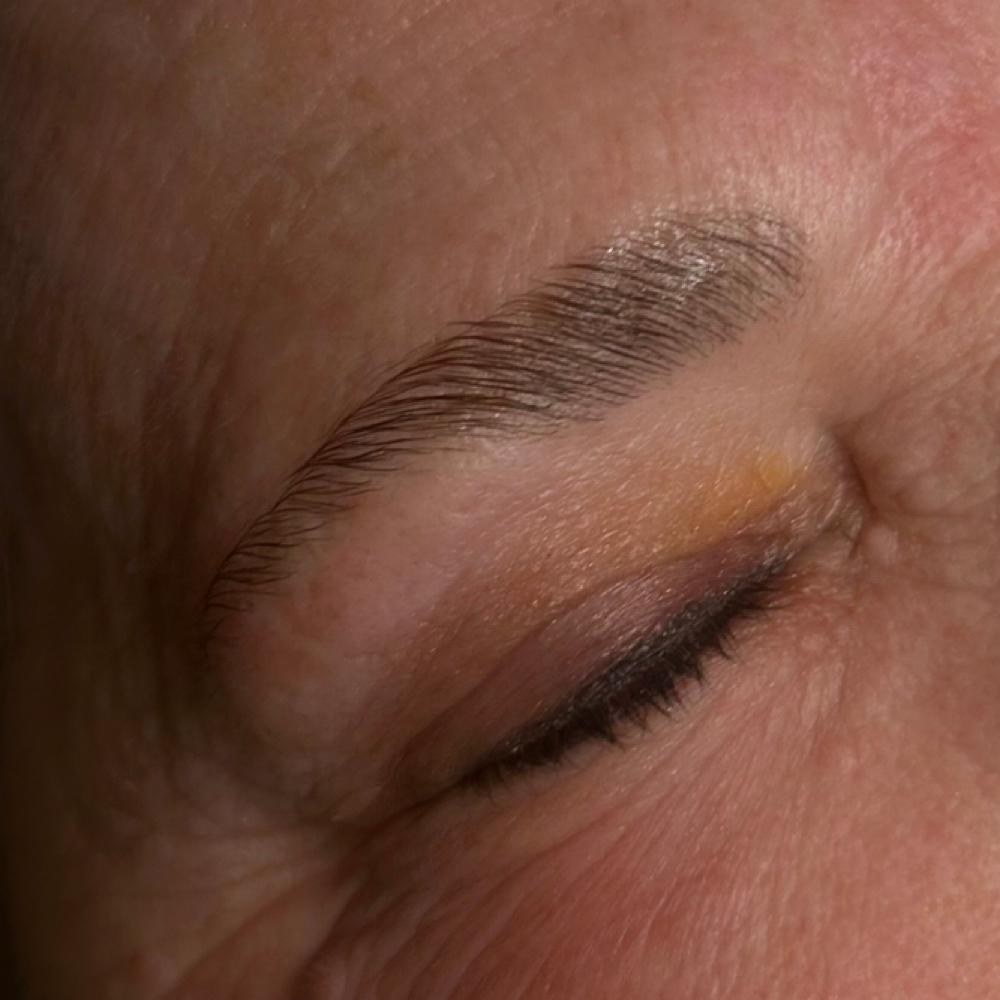 Brow Lamination and Tint at Graceful Effects Day Spa in Brandon, MS