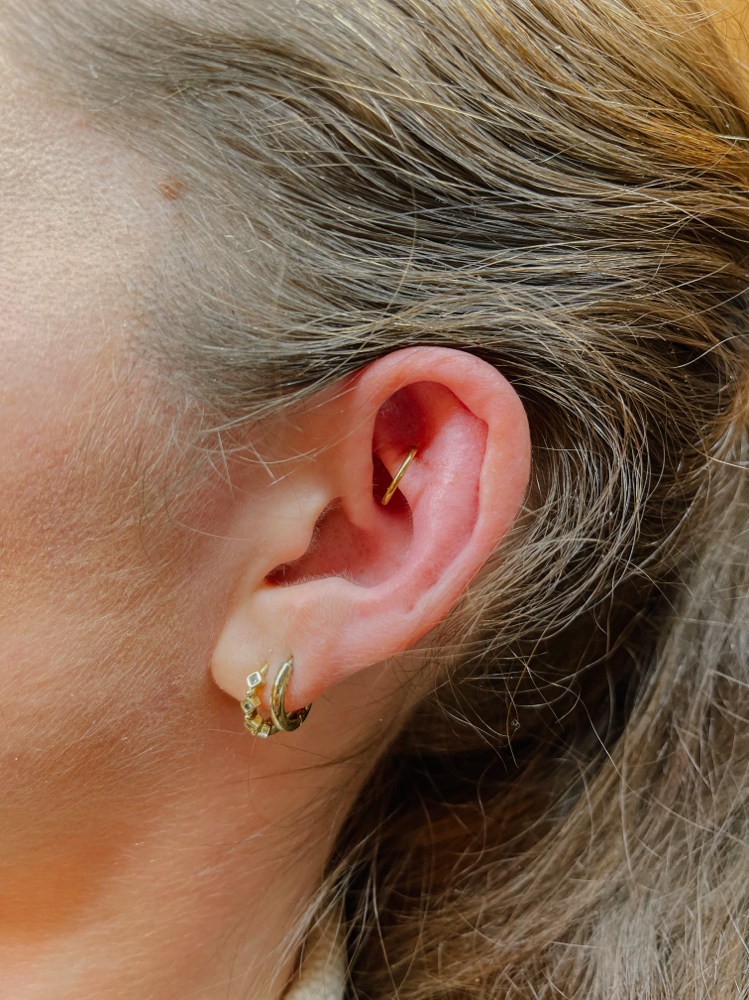 Rook at Pierced in Phases in Bountiful, UT