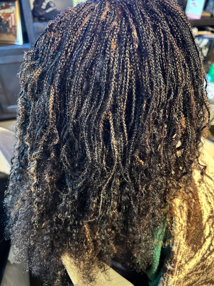 Micro Locs With Permanet Extentions