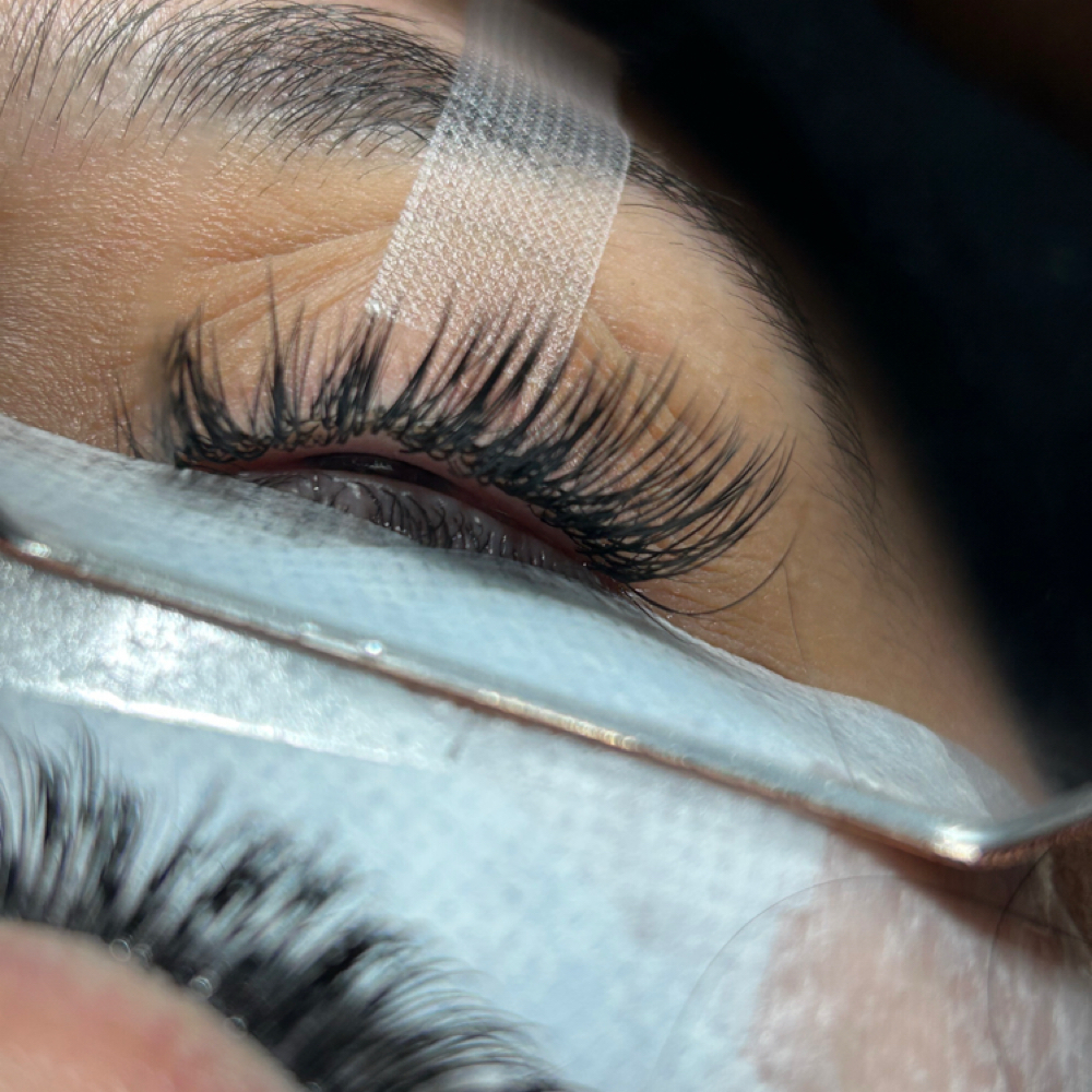 Classic Fill at Opulent Lash Bar in Tampa, FL