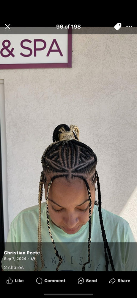 Fulani Braids Style at Naturalist CP in Collierville, TN