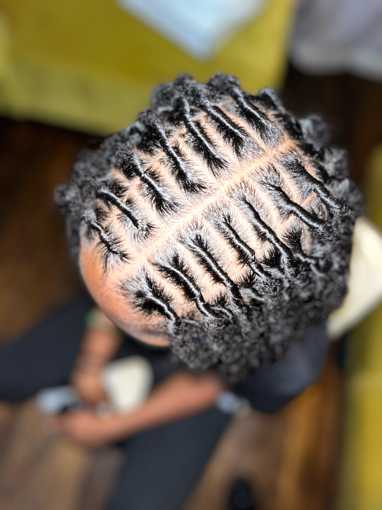 Starter Locs