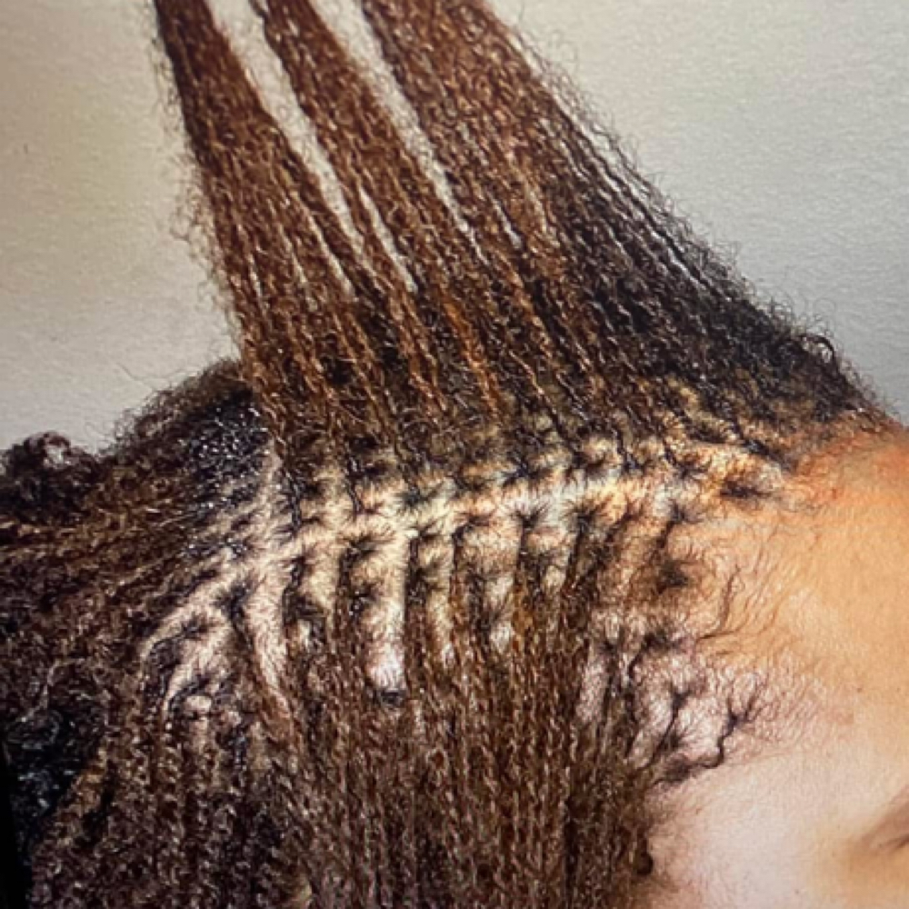 New Client Micro Locks Consultation at The LocD Journey LLC. in Palm Coast, FL