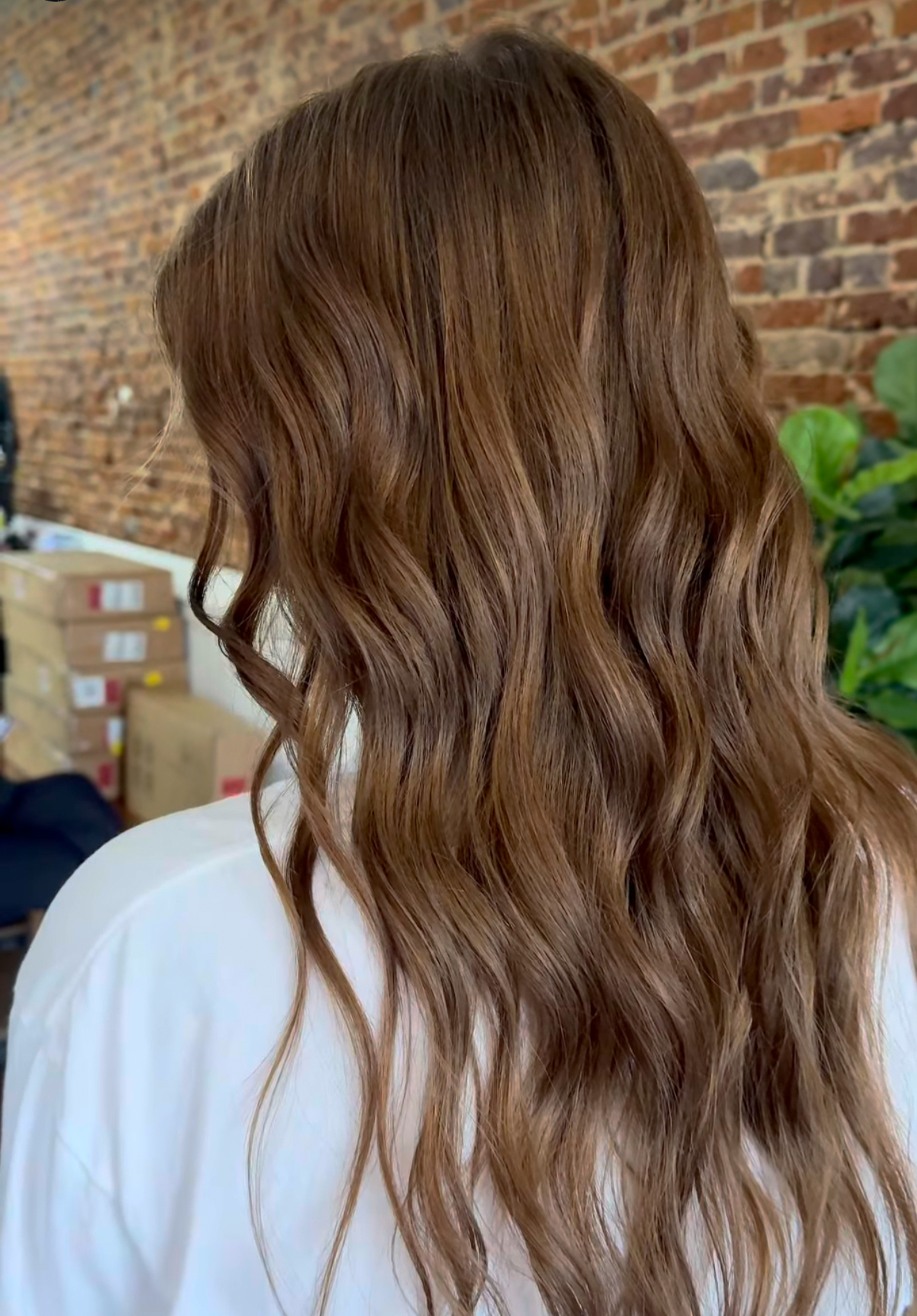 Color Retouch at Color Me P0sh in Mansfield, TX