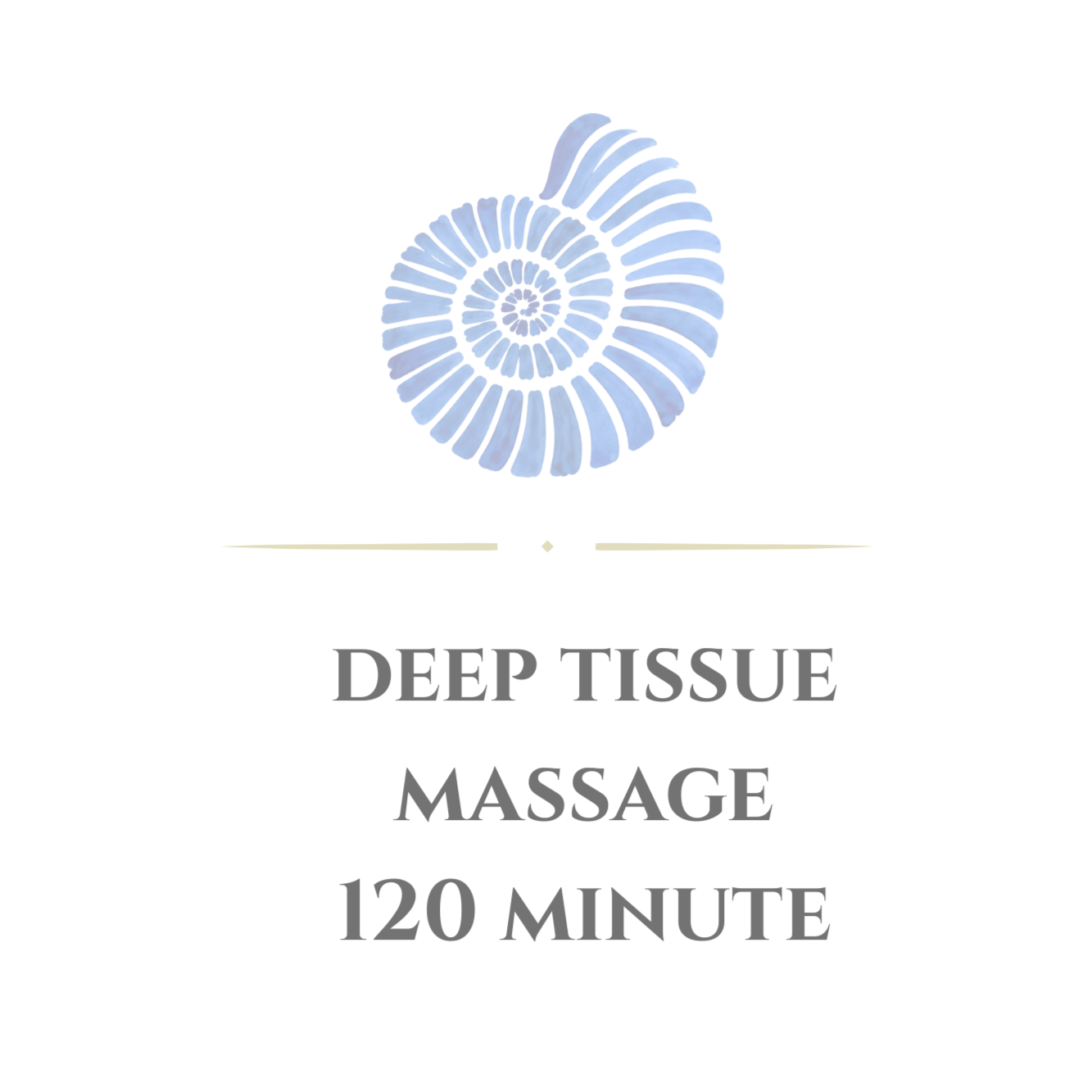 Deep Tissue 120 Minutes at Body Blueprint Wellness in Cohasset Office, MA