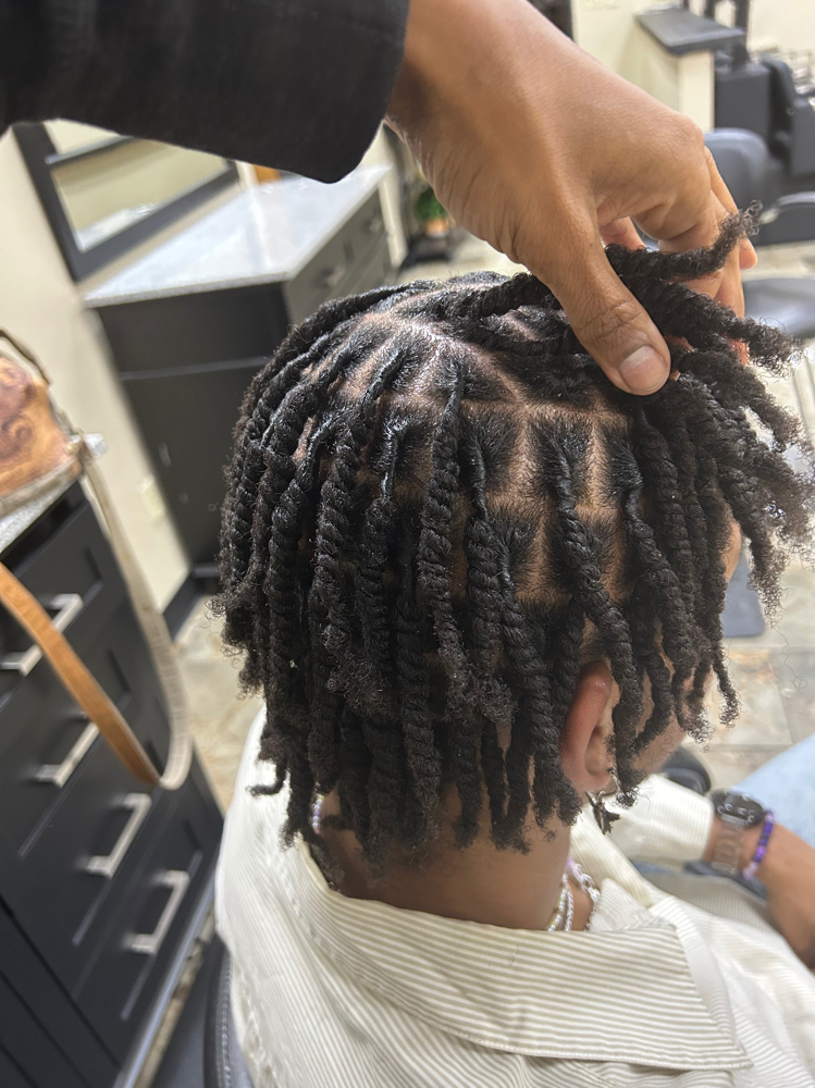 Starter Locs