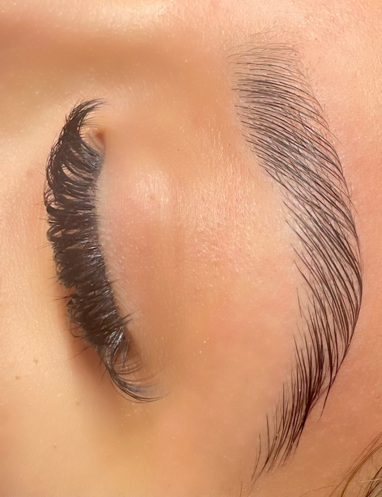 Brow Lamination