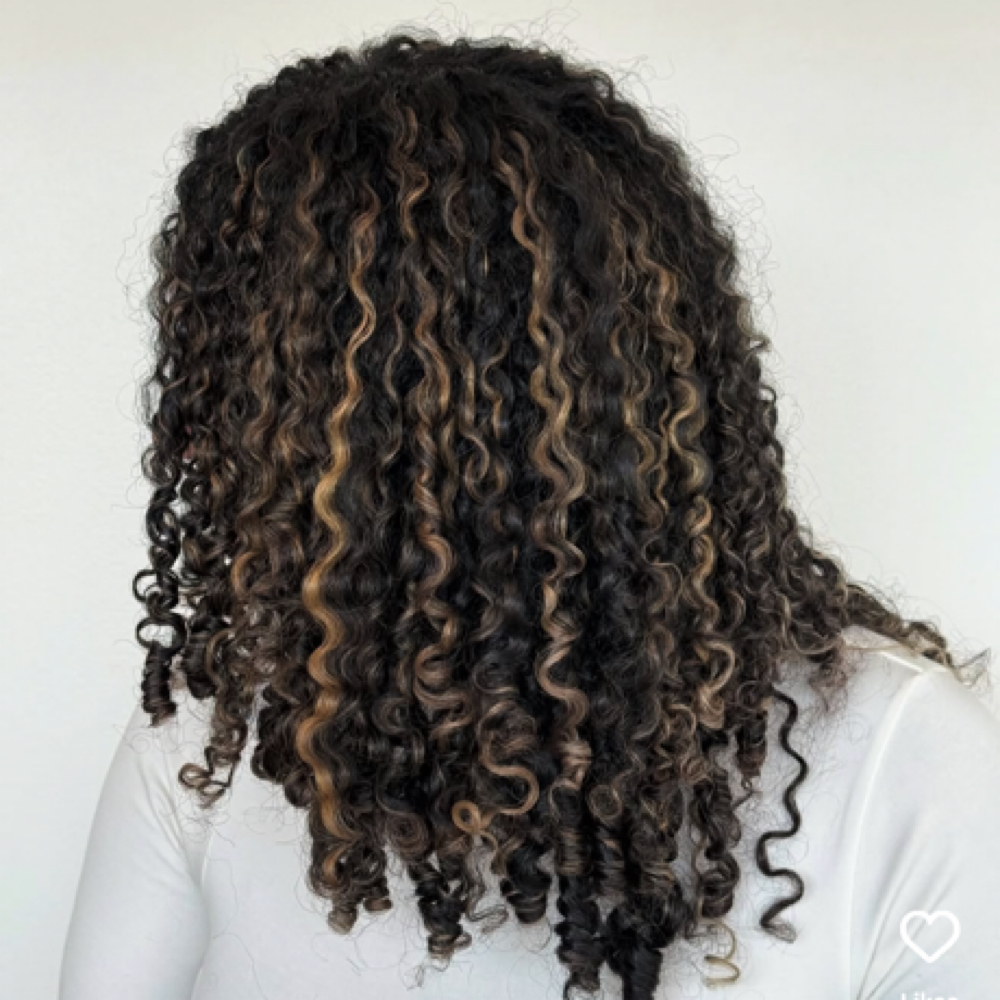 Curl Refresh at Haus Of Kartel in Rochester, NY