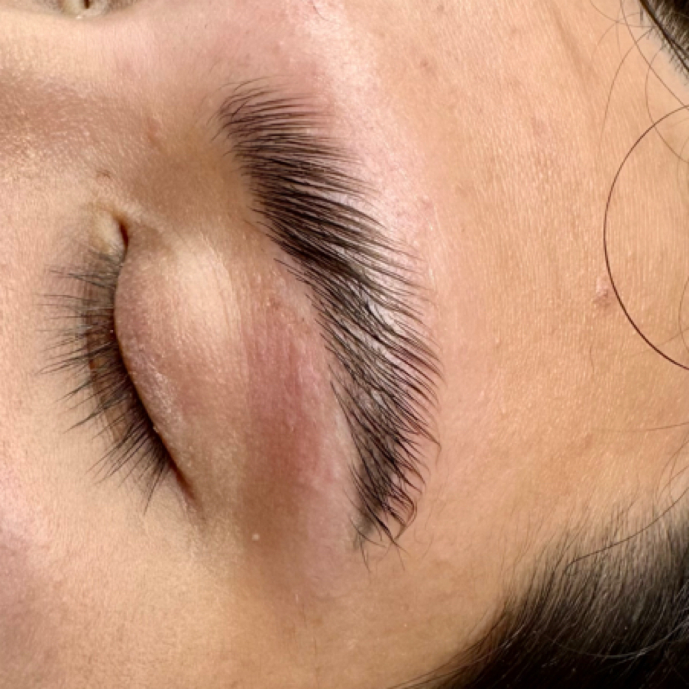 Brow Laminaton at Victoria Renay Beauties in Frisco, TX