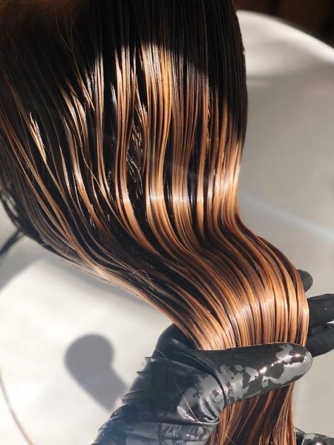 Toner/Gloss & Cut