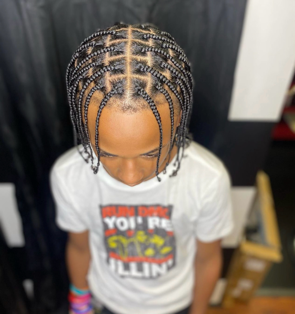 Natural Small Box Braids / Twist