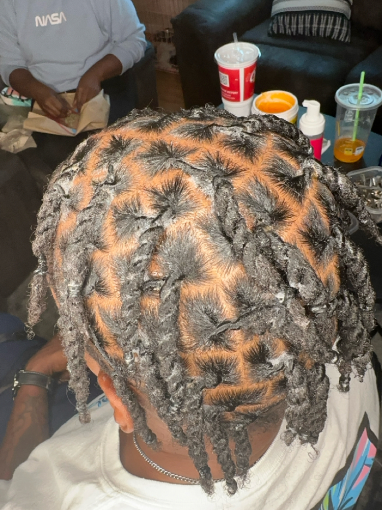 Two Strand Starter Locs