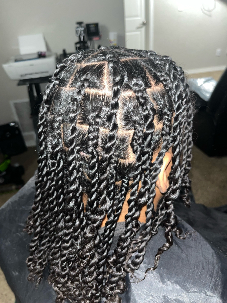 Two Strand Twist at Golden Combs in Fountain, CO