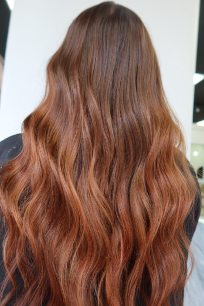 Color With Allie at LA BEAUTY in Tampa, FL