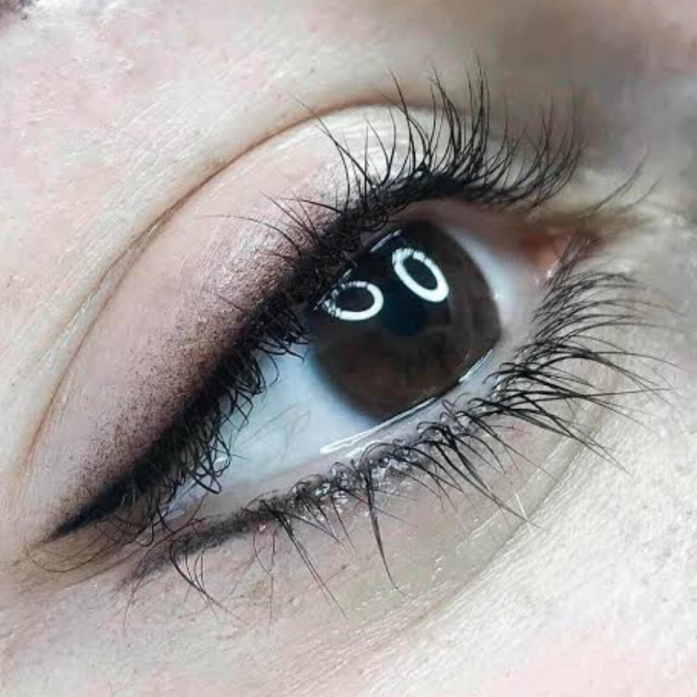 SPECIAL : Dusty Bottom Liner at ALL KRYSTALS in Bloomfield Hills, MI