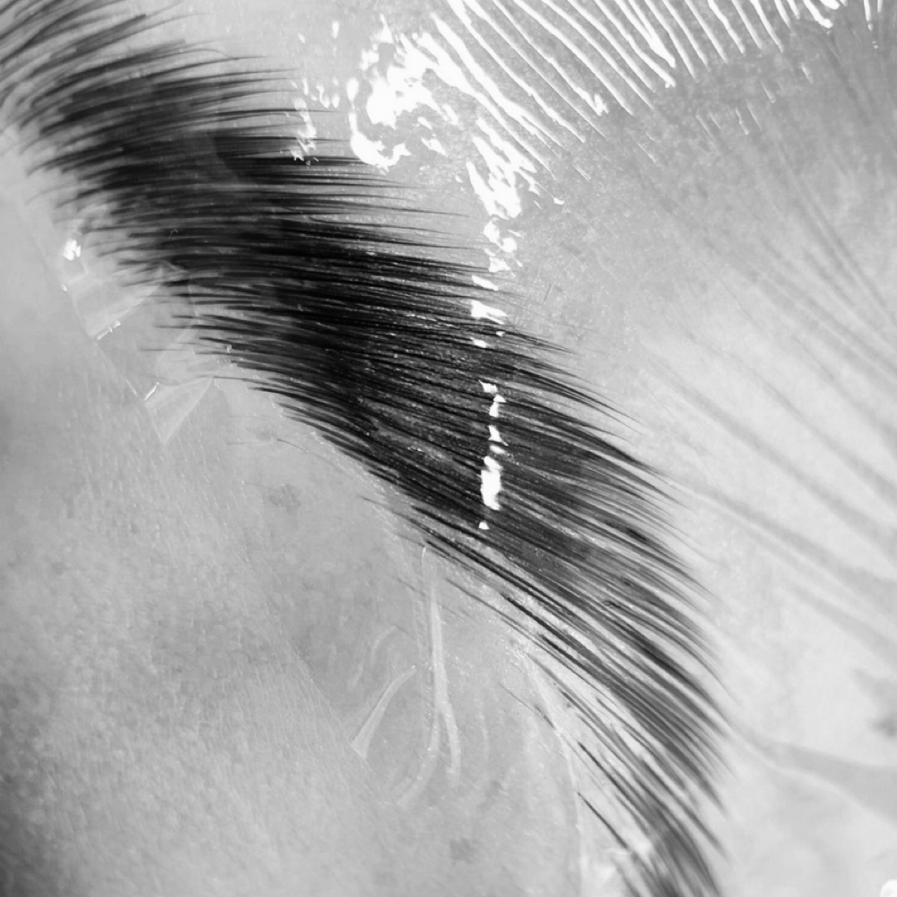 Wax+Tint+Lamination at Ritzy Rose Hair & Co in McDonough, GA