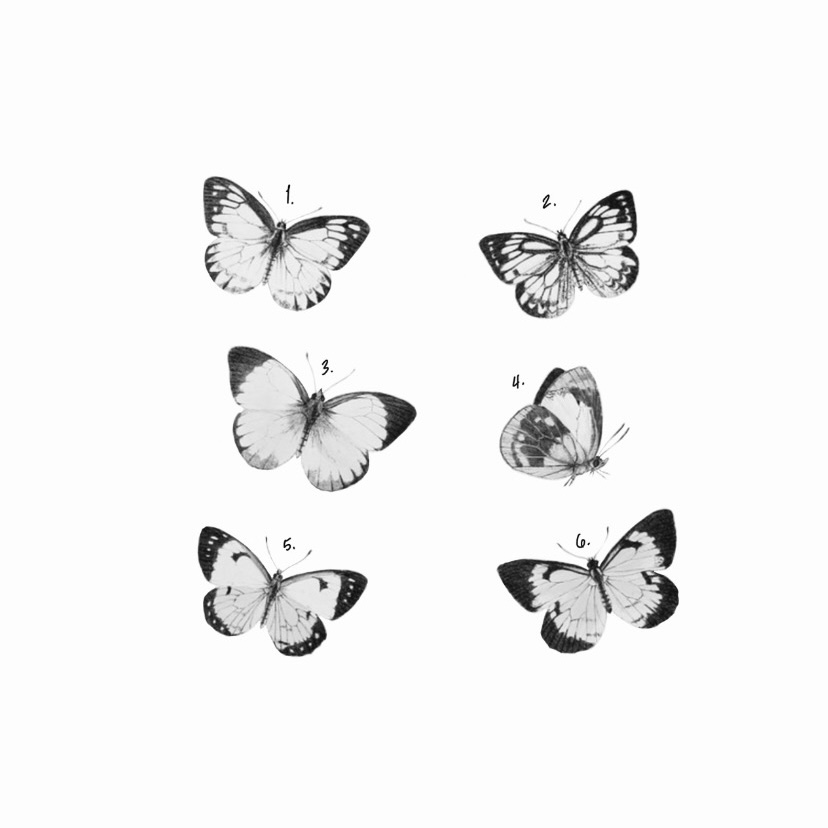 Repeatable Butterflies