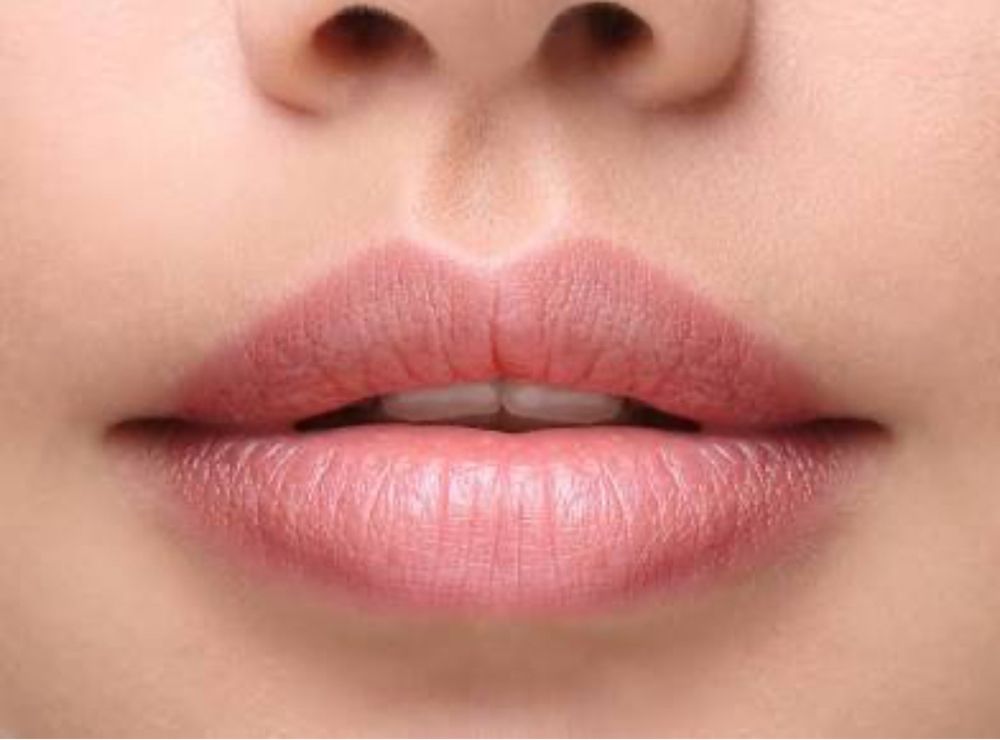 Upper Lip