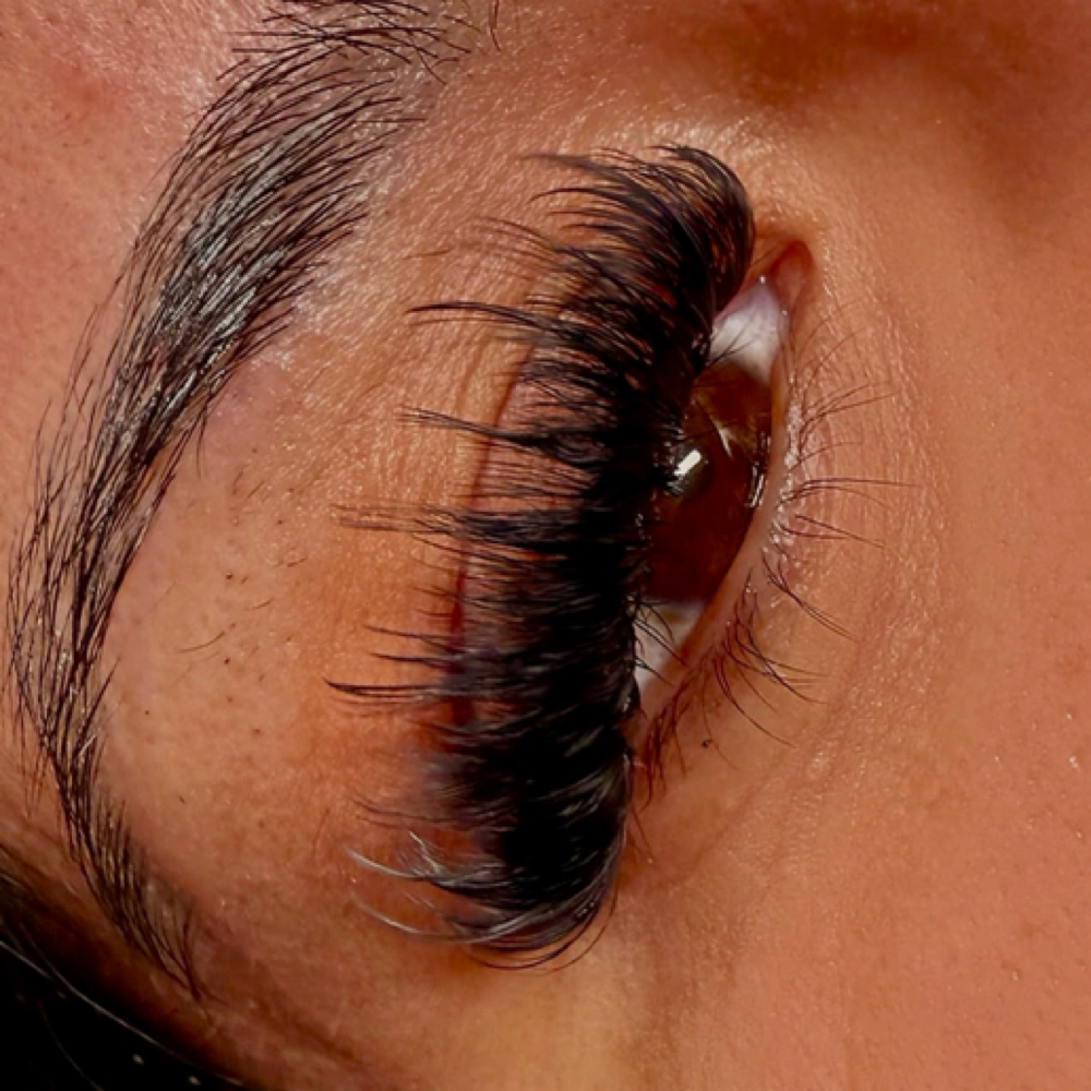 Strip Lash Set at Beautified By Stassney in San Antonio, TX
