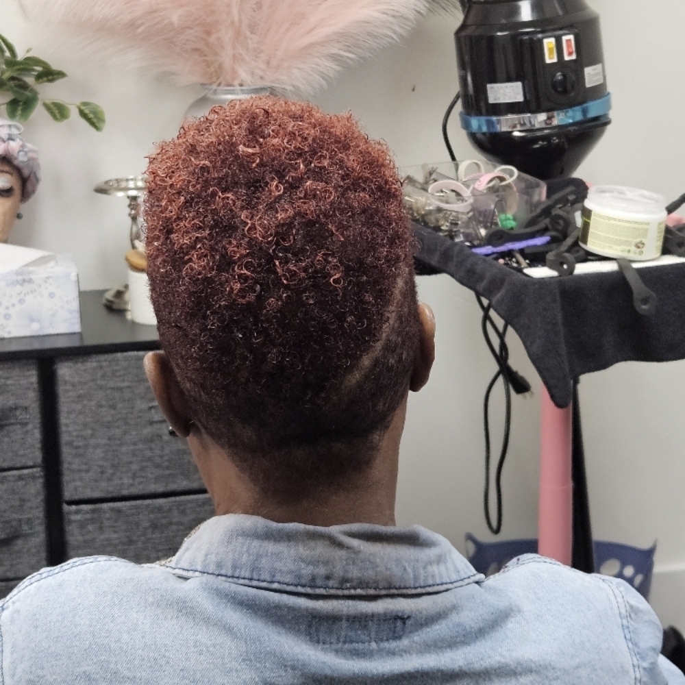 Haircut Women/Men at CLASSY CEES Crown Ritual in Baton Rouge, LA