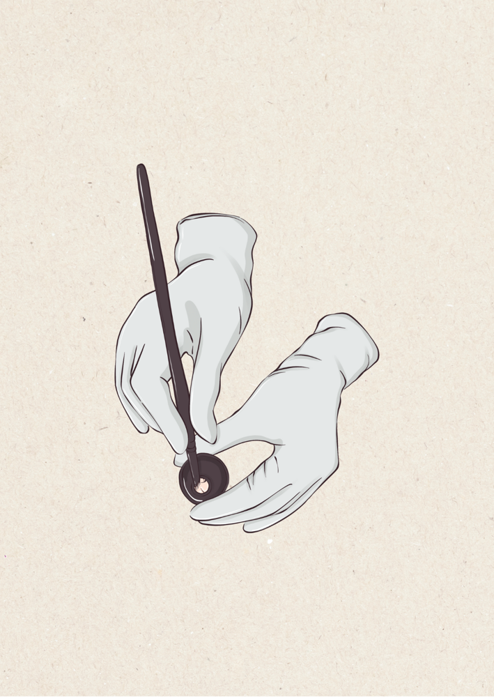 Brow Tint + Shaping