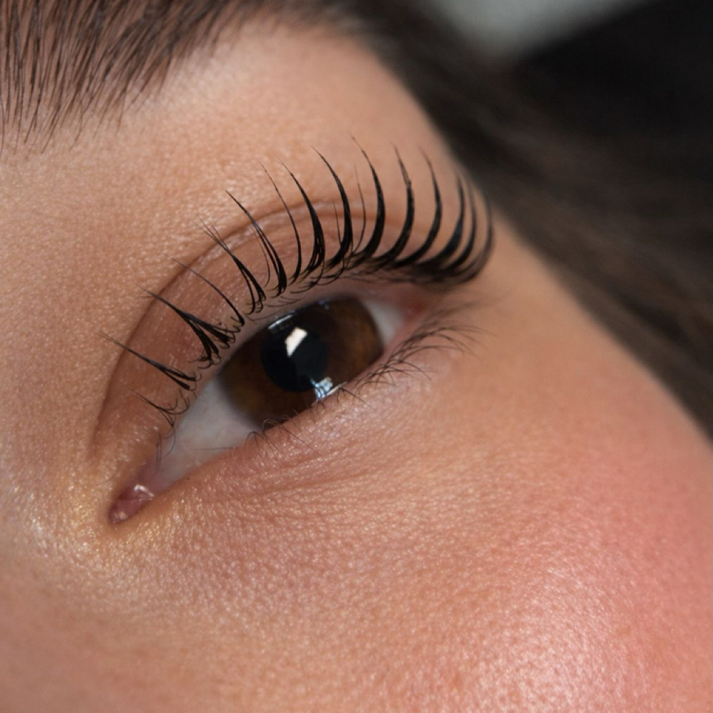 Korean Lash Lift + Tint at The Lash Barn in San Antonio, TX